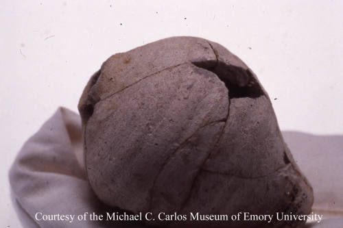 © Michael C. Carlos Museum, Emory University