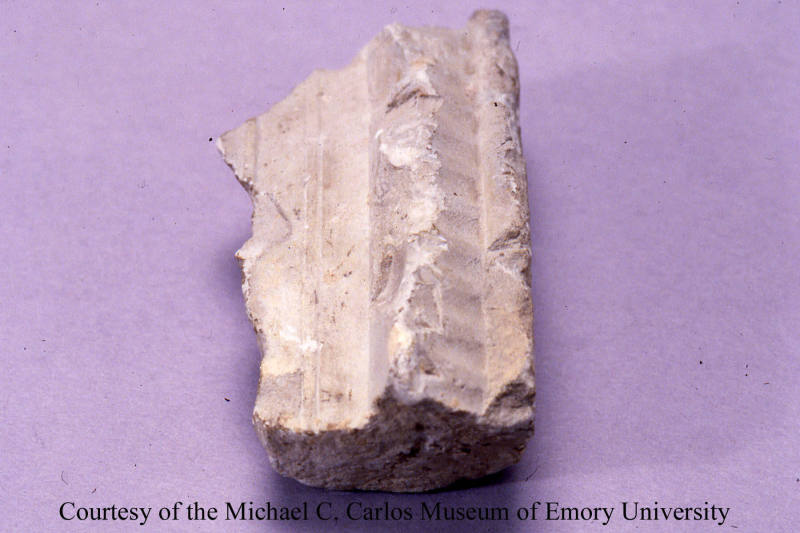 © Michael C. Carlos Museum, Emory University
