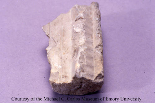 © Michael C. Carlos Museum, Emory University
