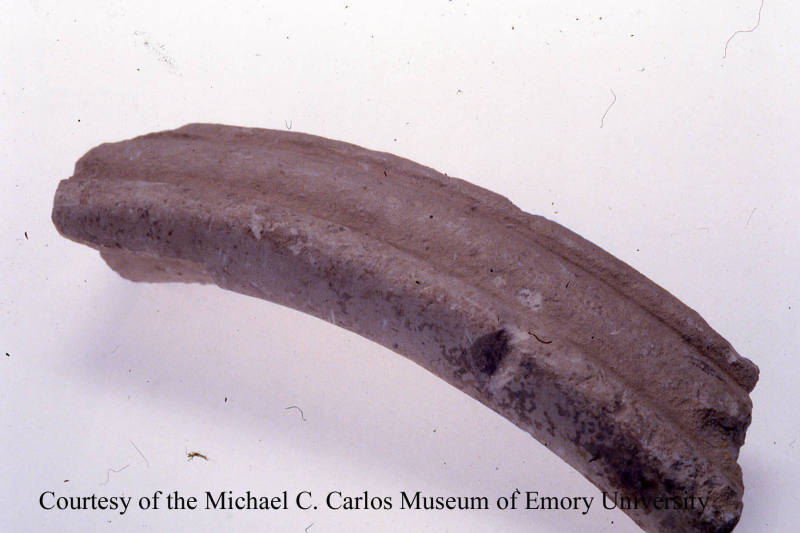 © Michael C. Carlos Museum, Emory University