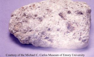 © Michael C. Carlos Museum, Emory University