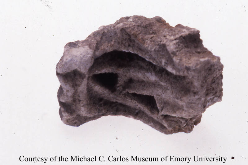 © Michael C. Carlos Museum, Emory University