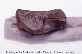 © Michael C. Carlos Museum, Emory University