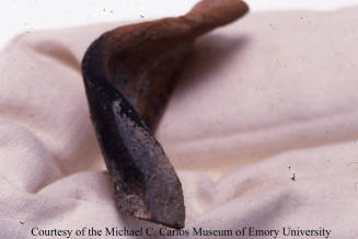 © Michael C. Carlos Museum, Emory University