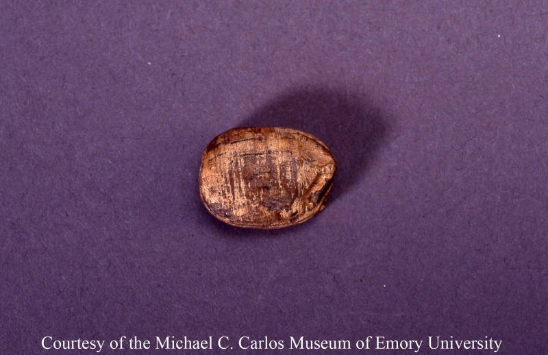 © Michael C. Carlos Museum, Emory University
