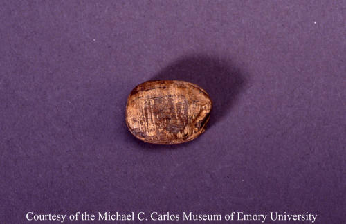 © Michael C. Carlos Museum, Emory University