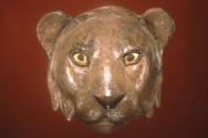 Installation image from Treasures from the Royal Tombs of Ur, on view October 26, 2002 - Januar ...