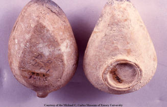 © Michael C. Carlos Museum, Emory University