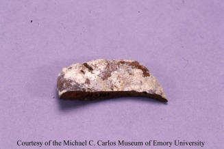 © Michael C. Carlos Museum, Emory University