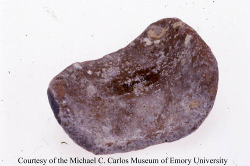 © Michael C. Carlos Museum, Emory University