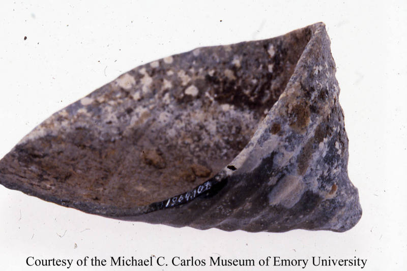 © Michael C. Carlos Museum, Emory University