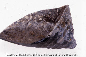 © Michael C. Carlos Museum, Emory University