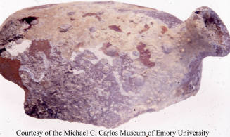 © Michael C. Carlos Museum, Emory University