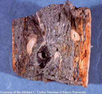 © Michael C. Carlos Museum, Emory University