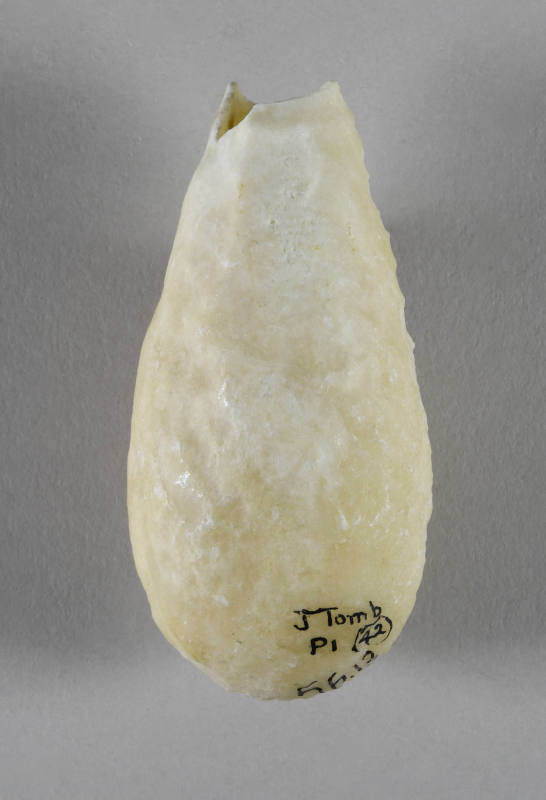 © Michael C. Carlos Museum, Emory University