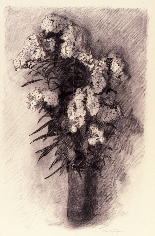 © Michael C. Carlos Museum, Emory University