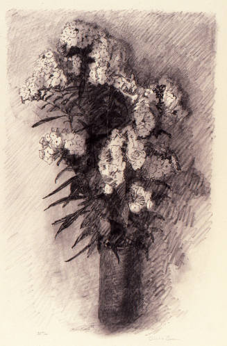 © Michael C. Carlos Museum, Emory University