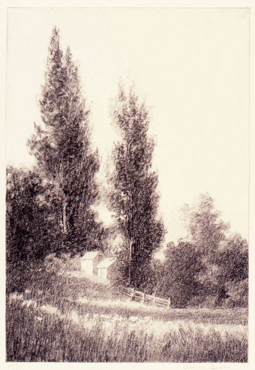 © Michael C. Carlos Museum, Emory University