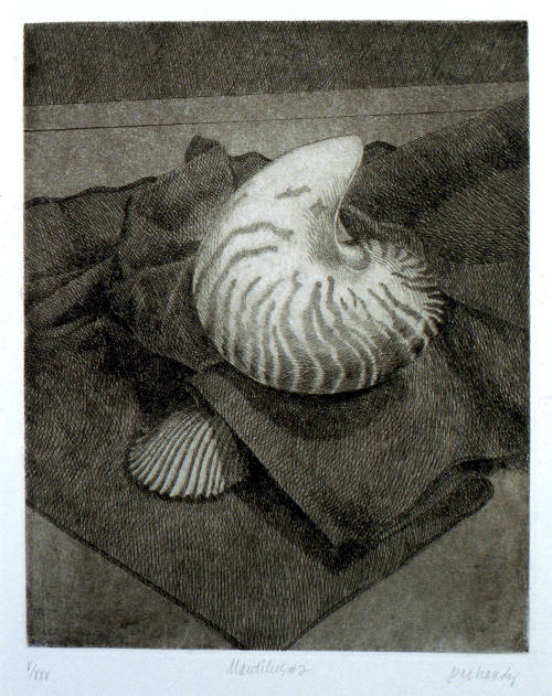 © Pat Hardy.  Image courtesy Michael C. Carlos Museum, Emory University.