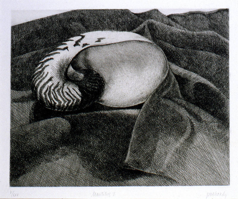 © Pat Hardy.  Image courtesy Michael C. Carlos Museum, Emory University.