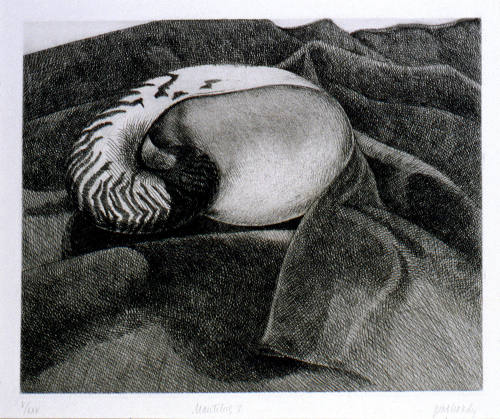 © Pat Hardy.  Image courtesy Michael C. Carlos Museum, Emory University.