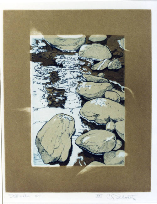 © Estate of Carl Schwartz.  Image courtesy Michael C. Carlos Museum, Emory University.