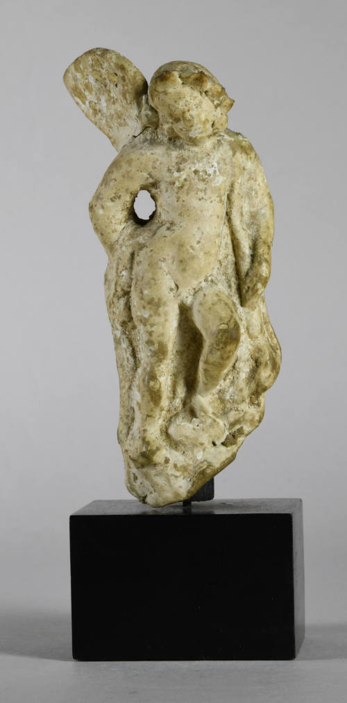 © Michael C. Carlos Museum, Emory University