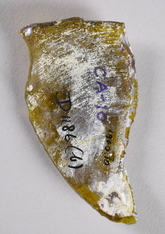 © Michael C. Carlos Museum, Emory University