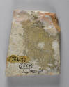 © Michael C. Carlos Museum, Emory University