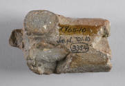 © Michael C. Carlos Museum, Emory University