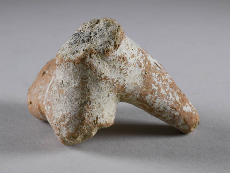 © Michael C. Carlos Museum, Emory University