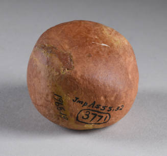© Michael C. Carlos Museum, Emory University