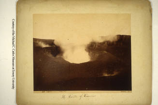 © Michael C. Carlos Museum, Emory University
