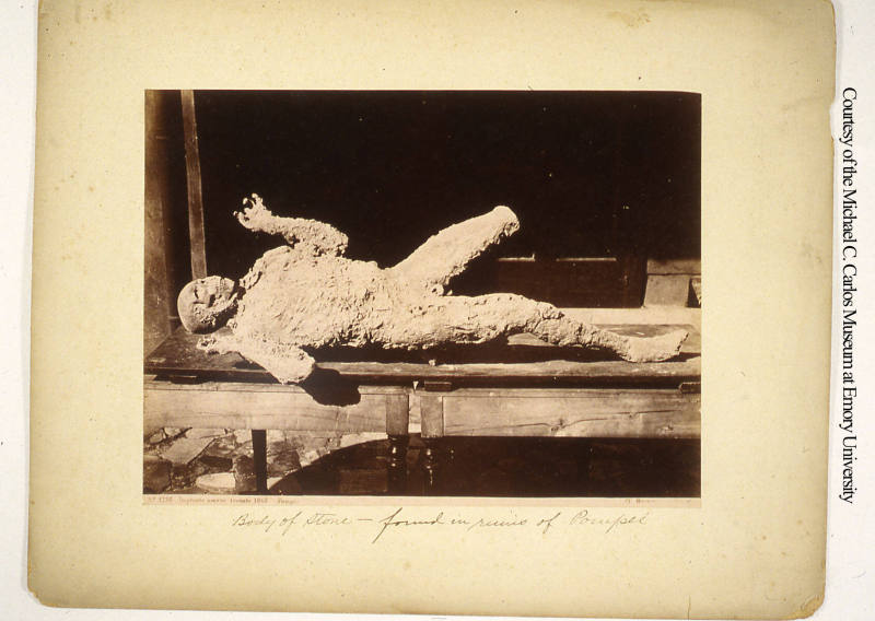 © Michael C. Carlos Museum, Emory University