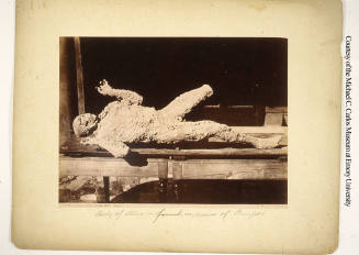 © Michael C. Carlos Museum, Emory University