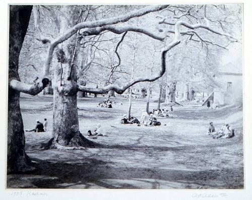 © Estate of Augustus Dixon Adair III.  Image courtesy Michael C. Carlos Museum, Emory Universit ...
