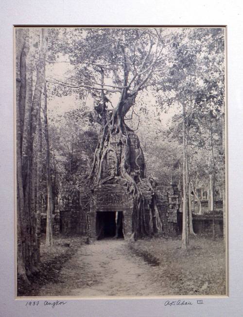 © Estate of Augustus Dixon Adair III.  Image courtesy Michael C. Carlos Museum, Emory Universit ...
