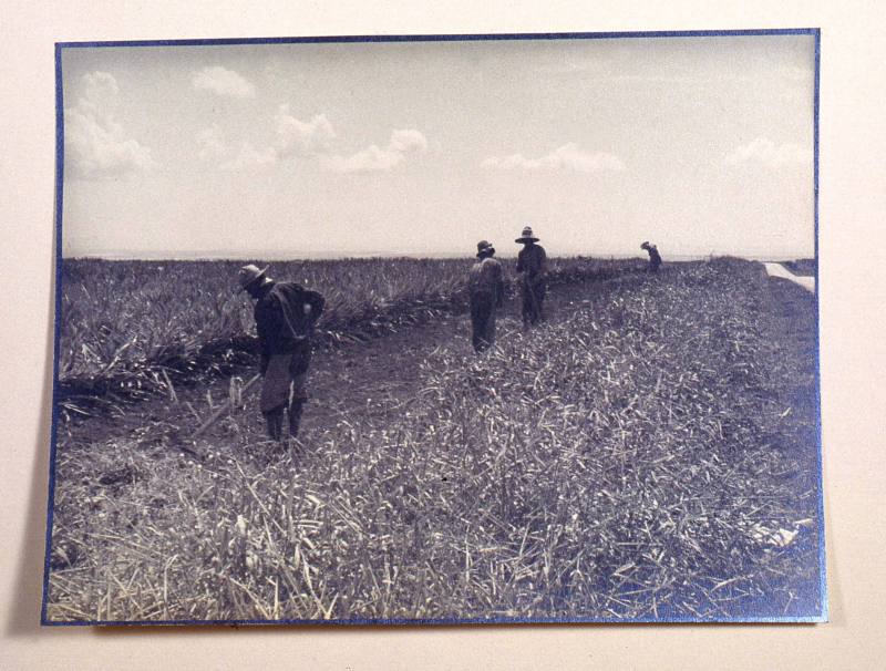 © Estate of Augustus Dixon Adair III.  Image courtesy Michael C. Carlos Museum, Emory Universit ...