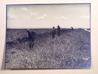 © Estate of Augustus Dixon Adair III.  Image courtesy Michael C. Carlos Museum, Emory Universit ...