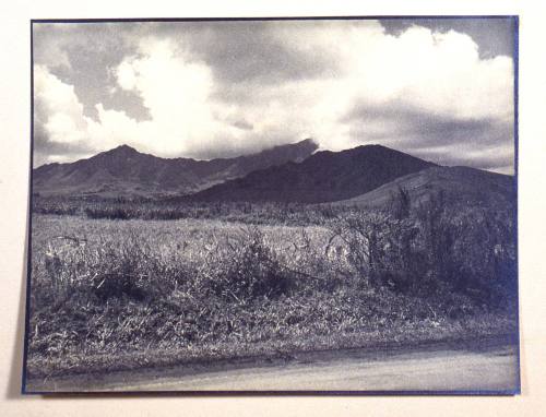 © Estate of Augustus Dixon Adair III.  Image courtesy Michael C. Carlos Museum, Emory Universit ...