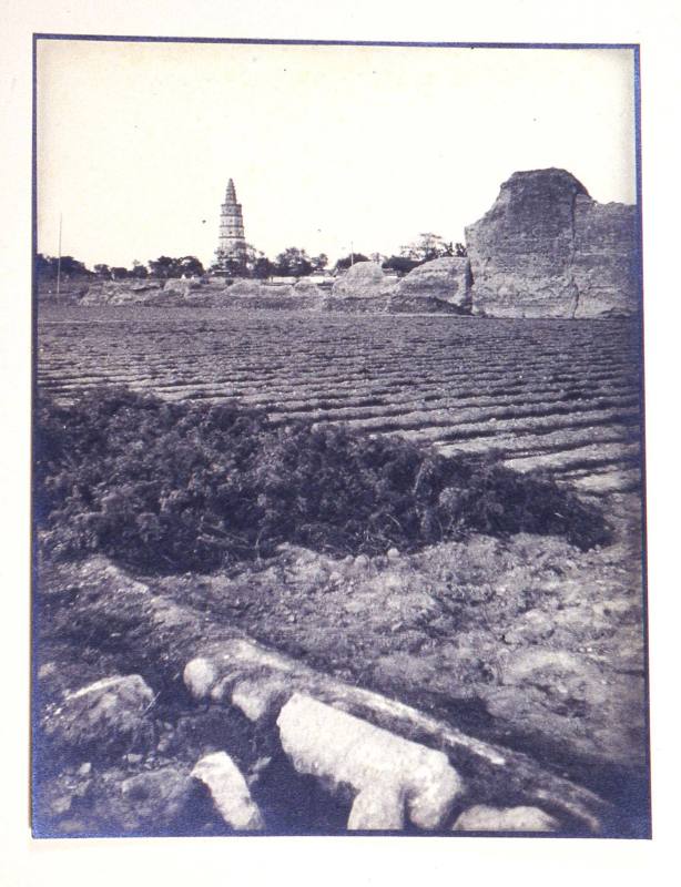 © Estate of Augustus Dixon Adair III.  Image courtesy Michael C. Carlos Museum, Emory Universit ...