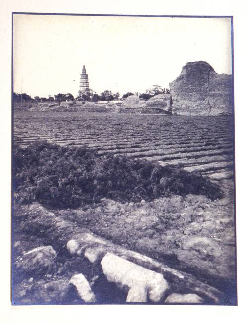 © Estate of Augustus Dixon Adair III.  Image courtesy Michael C. Carlos Museum, Emory Universit ...