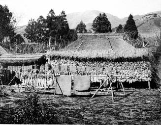 © Estate of Augustus Dixon Adair III.  Image courtesy Michael C. Carlos Museum, Emory Universit ...