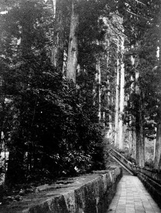 © Estate of Augustus Dixon Adair III.  Image courtesy Michael C. Carlos Museum, Emory Universit ...
