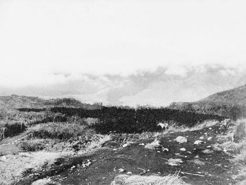 © Estate of Augustus Dixon Adair III.  Image courtesy Michael C. Carlos Museum, Emory Universit ...