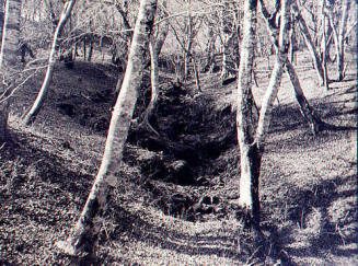© Estate of Augustus Dixon Adair III.  Image courtesy Michael C. Carlos Museum, Emory Universit ...