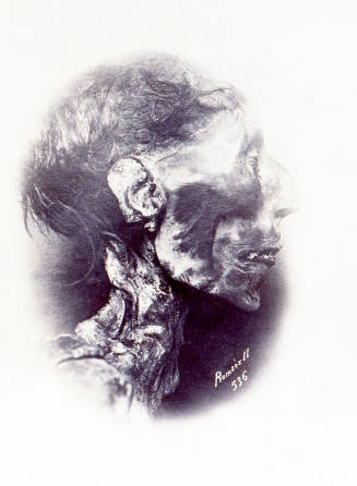 © Michael C. Carlos Museum, Emory University