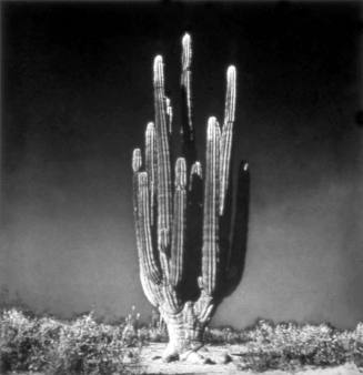 © Graciela Iturbide.  Image courtesy Michael C. Carlos Museum, Emory University.