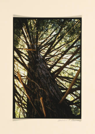 © Vivian E. Browne/Ryan Lee Gallery. Image courtesy Emory Libraries Digitization.