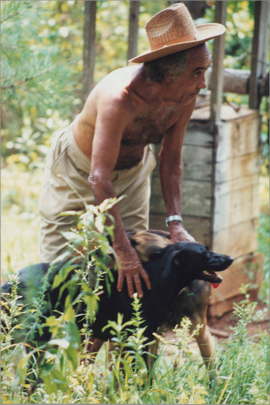 © Estate of Beverly Buchanan. Image courtesy Emory Libraries Digitization.